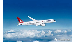 土耳其最大航空恢复飞往乌克兰航班