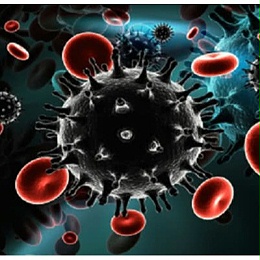 乌克兰今日新增2582例新的COVID-19病例