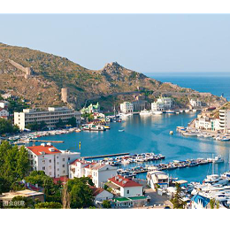 今年美国大选，乌克兰总统将起到关键作用？他会支持谁呢？