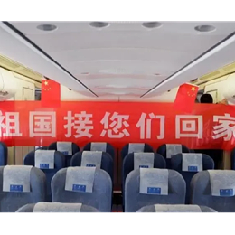 【驻乌使馆最新公告】关于搭乘临时航班回国的有关要求